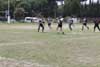 thumb_IMG_1648.jpg